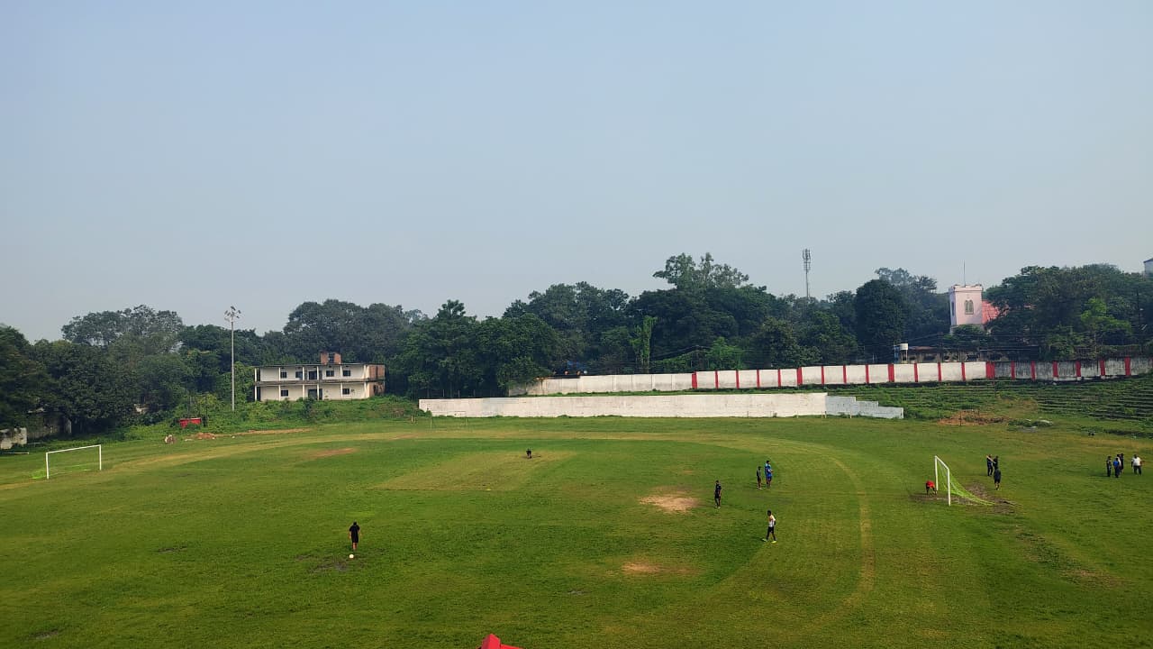 Professional Coaching